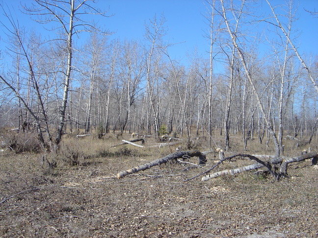 DSC03087